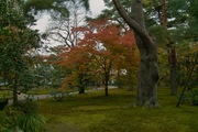 Kenrokuen11242007-03.jpg