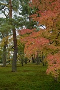 Kenrokuen11242007-05.jpg