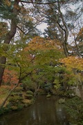Kenrokuen11242007-06.jpg