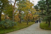 Kenrokuen11242007-07.jpg