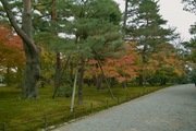 Kenrokuen11242007-08.jpg
