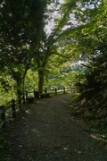 Kinokubo09152007-14.jpg