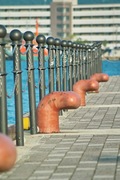Marine_Park08052007-03.jpg