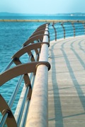 Marine_Park08052007-07.jpg