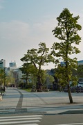 Misogi_river-side08052007-01.jpg