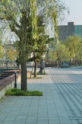 Misogi_river-side08052007-10.jpg