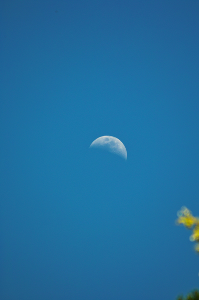 Moon05112008sd.jpg
