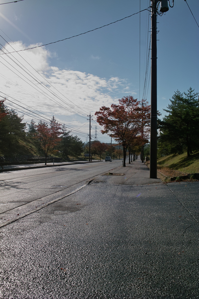 Morning10282008d.jpg