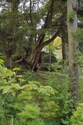 Myojoji09242007-08.jpg