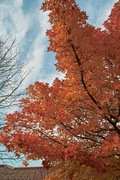 Nanakubo-park11242007-02.jpg