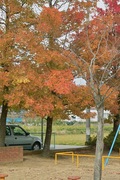 Nanakubo-park11242007-03.jpg