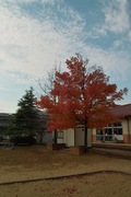 Nanakubo-park11242007-06.jpg