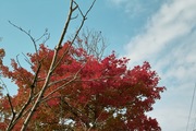 Nanakubo-park11242007-09.jpg