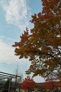 Nanakubo-park11242007-10.jpg