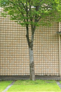 Nanao_Musium08052007-5.jpg