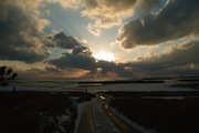 Neighborhood01262008-08.jpg