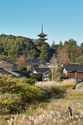 Neighborhood11172007-02.jpg
