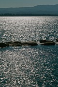 Neighborhood11172007-03.jpg