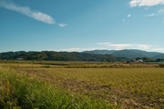 Neighborhood11172007-05.jpg