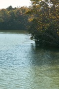 Neighborhood11172007-07.jpg