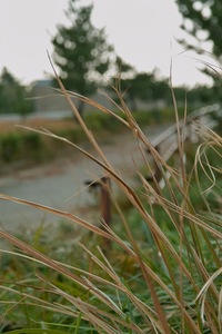 Neighborhood11242007-02.jpg