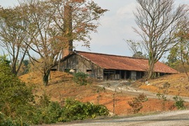 Neighborhood11242007-03.jpg