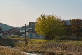 Neighborhood11242007-07.jpg