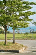 Notojima08122007-07.jpg