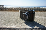 OLYMPUS_PEN_FT02192011nex5.JPG