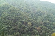 Okuhida05-10082007.jpg