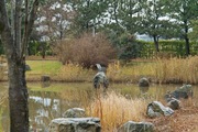 Oono_Minato-park12092007-04.jpg