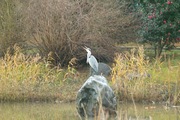 Oono_Minato-park12092007-08.jpg
