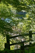 Ootaki08112007-03.jpg