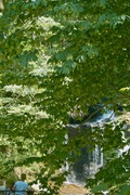 Ootaki08112007-11.jpg