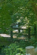 Ootaki08112007-13.jpg