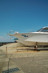 SD10-20F8_16mm.jpg