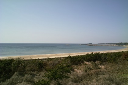 Sea03182008.jpg