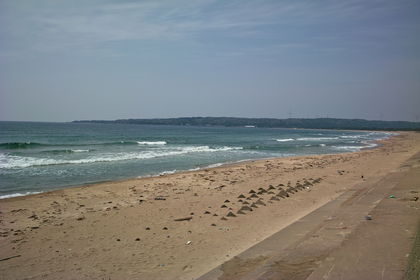 Sea04252008-02d.jpg