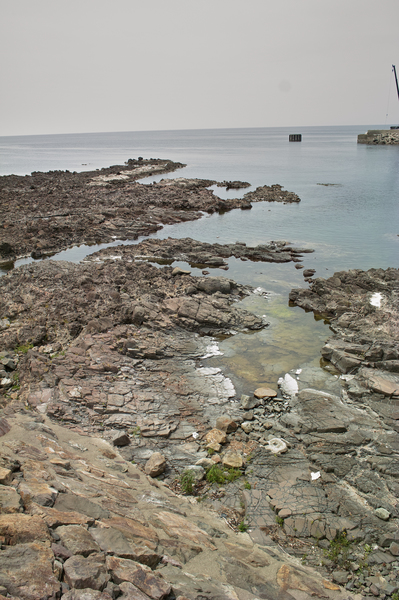 Sea06182008d1.jpg