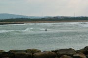 Sea12242007-04.jpg