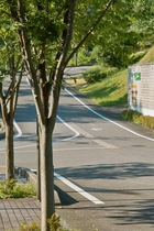 Shishiku08152007-08.jpg