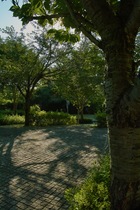 Shishiku08152007-12.jpg