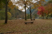 Shizenhogo-center11042007-02.jpg