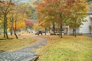 Shizenhogo-center11042007-03.jpg