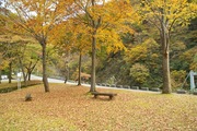 Shizenhogo-center11042007-07.jpg