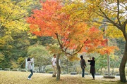 Shizenhogo-center11042007-08.jpg