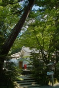 Sirayama08152007-06.jpg