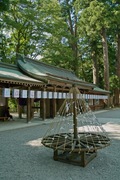 Sirayama08152007-17.jpg