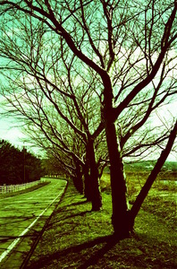 Smena_CT-X03102011-2.jpg