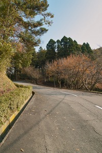 Takamatsu-park11242007-01.jpg